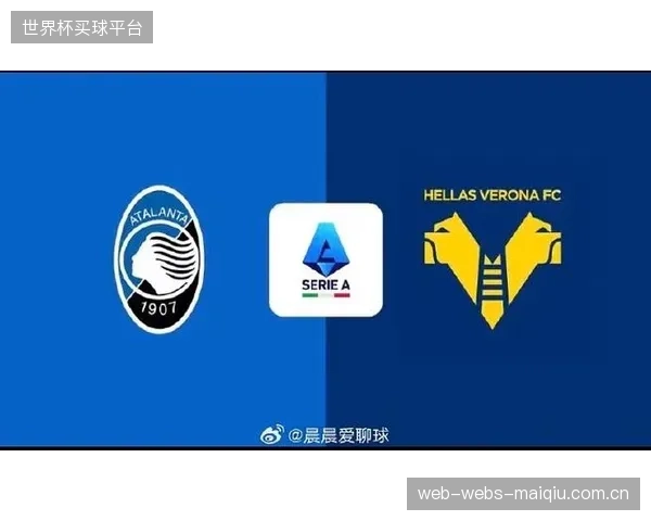 维罗纳锋无力现象贯穿赛季，客场虫表现最终导致球队降级。